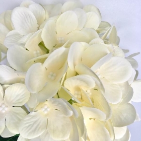 Cream Hydrangea 66cm