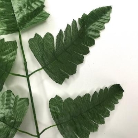 Leather Leaf 38cm x 12 stems