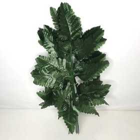 Leather Leaf 38cm x 12 stems