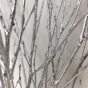 Silver Painted Birch