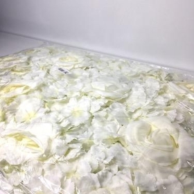 Ivory Rose and Hydrangea Flower Wall