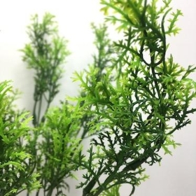 Conifer Bush Green 36cm