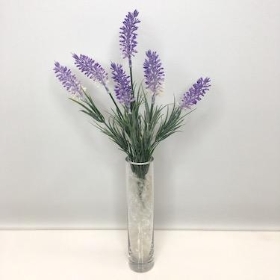 White And Lilac Lavender Bush 32cm