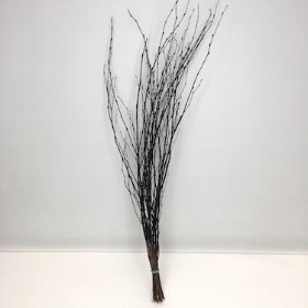 Black Painted Birch 