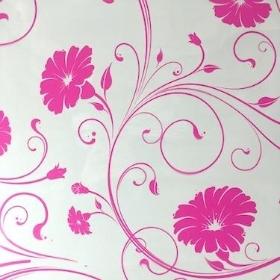  Cerise Daisy Cellophane 100m