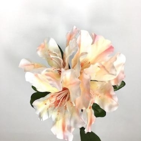 Pink Rhododendron 64cm