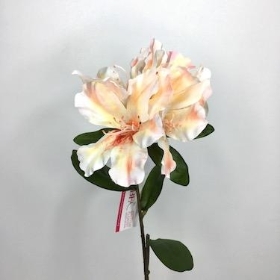 Pink Rhododendron 64cm
