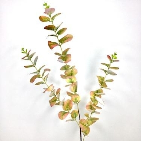 Pink Eucalyptus 83cm