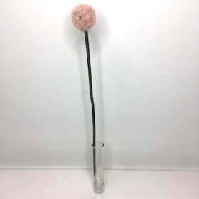 Pink Romance Allium 57cm