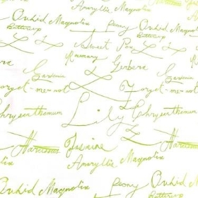 Lime Scribble Cellophane 100m
