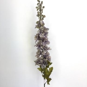 Grey Delphinium 79cm
