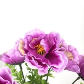 Lilac Mini Peony Bush 31cm