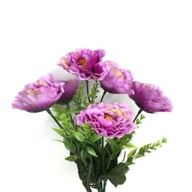 Lilac Mini Peony Bush 31cm