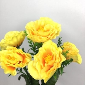 Yellow Mini Peony Bush 31cm