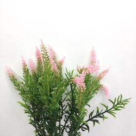 Pink Heather Bush 35cm