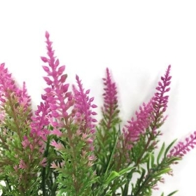 Cerise Heather Bush 35cm