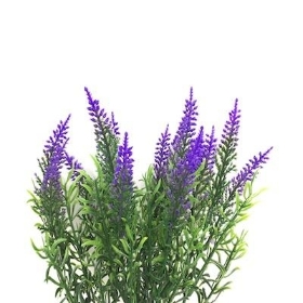 Purple Heather Bush 35cm
