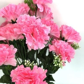 Pink Carnation Bush With Gyp 45cm