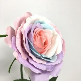 Unicorn Rose 63cm
