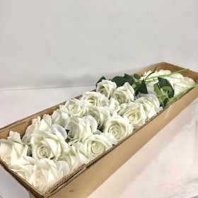 36 x Ivory Velvet Touch Open Rose 52cm