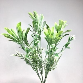 Green Grey Foliage Bush 33cm No1