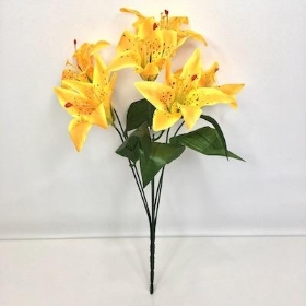 Yellow Lily Bush 35cm
