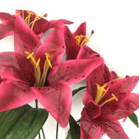 Dark Cerise Lily Bush 35cm