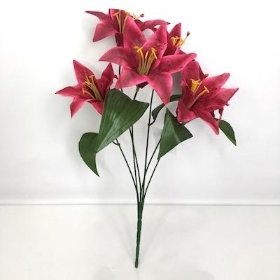 Dark Cerise Lily Bush 35cm