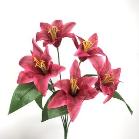 Dark Cerise Lily Bush 35cm