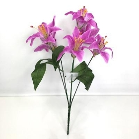 Lilac Lily Bush 35cm