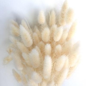 Dried Bleached Bunny Tails 80g