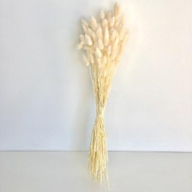 Dried Bleached Bunny Tails 80g