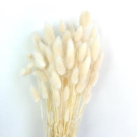 Dried Bleached Bunny Tails 80g