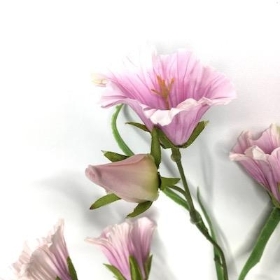 Pink Bell Flower 48cm