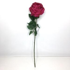 Cerise Garden Rose 53cm