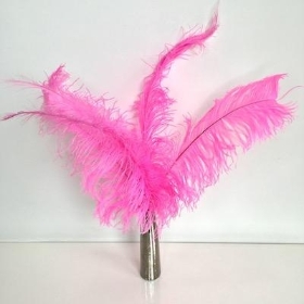 Cerise Ostrich Feathers x 5