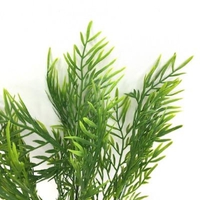 Green Fern Bush 35cm
