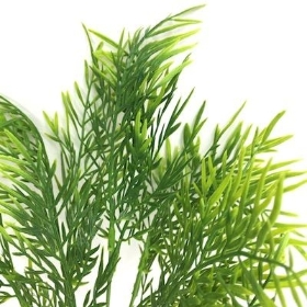 Green Fern Bush 34cm