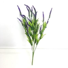 Purple Astilbe Bush 36cm