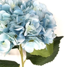 Pale Blue Hydrangea 81cm