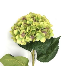 Green Hydrangea 81cm