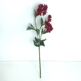 Dark Pink Astrantia 48cm