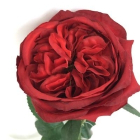Red Garden Rose 53cm