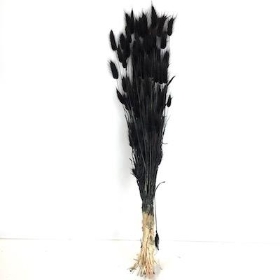 Dried Black Bunny Tails 80g