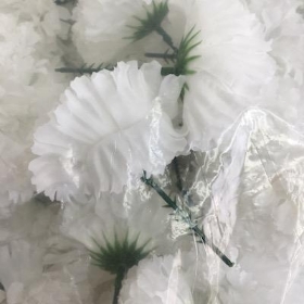 White Carnation Heads x 144
