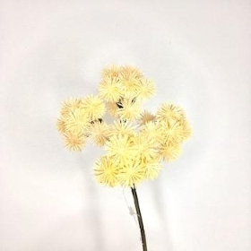 Ivory Echinop Spray 39cm