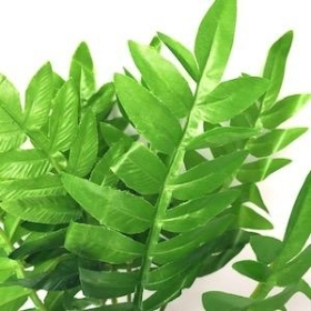Green Fern Bush 32cm