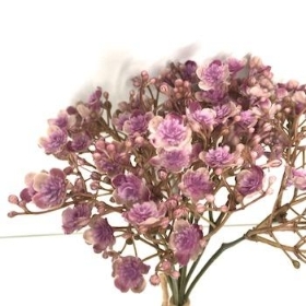 Mauve Gyp Bundle 29cm