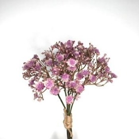 Mauve Gyp Bundle 29cm