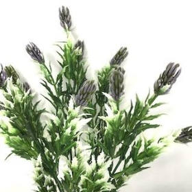 Lilac Mini Thistle Bush 32cm